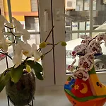 Casa Alba 1 * Puerto del Rosario (Fuerteventura)
