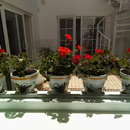 Апартаменты Casa Alba 1 *