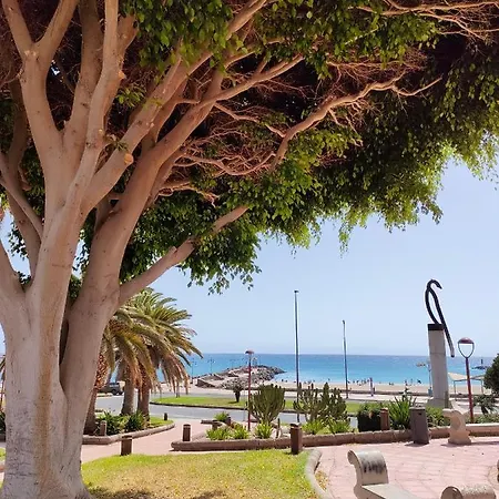 Appartement Casa Alba 1 *