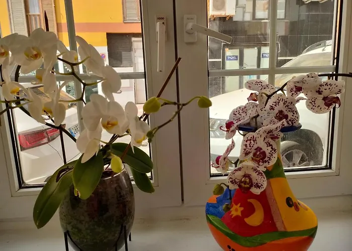 Casa Alba 1 * Puerto del Rosario (Fuerteventura)