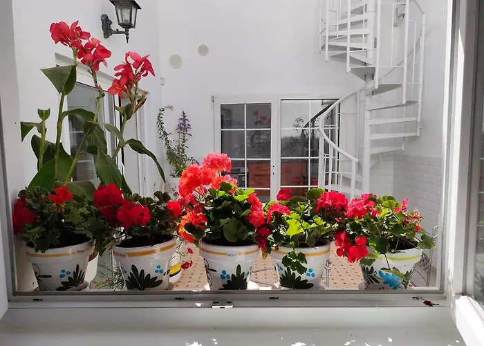 Casa Alba 1 Daire Puerto del Rosario (Fuerteventura)